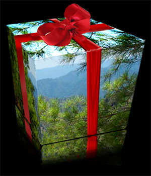 http://thegreencuttingboard.blogspot.com/Green-gift.jpg