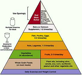 USDA Food Pyramid, Reexamined